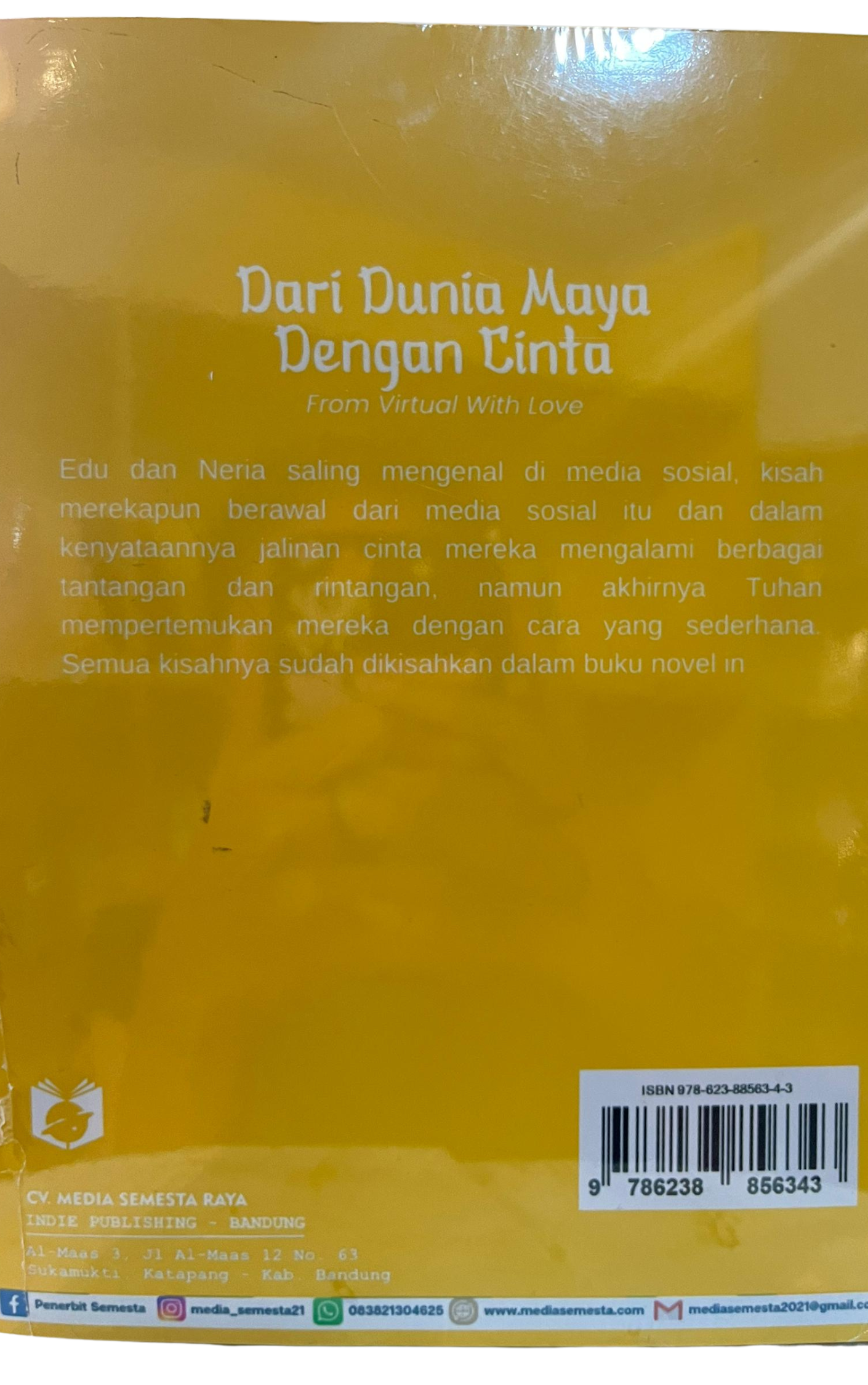 Dari Dunia maya dengan cinta - Mario de Oliveira Pires