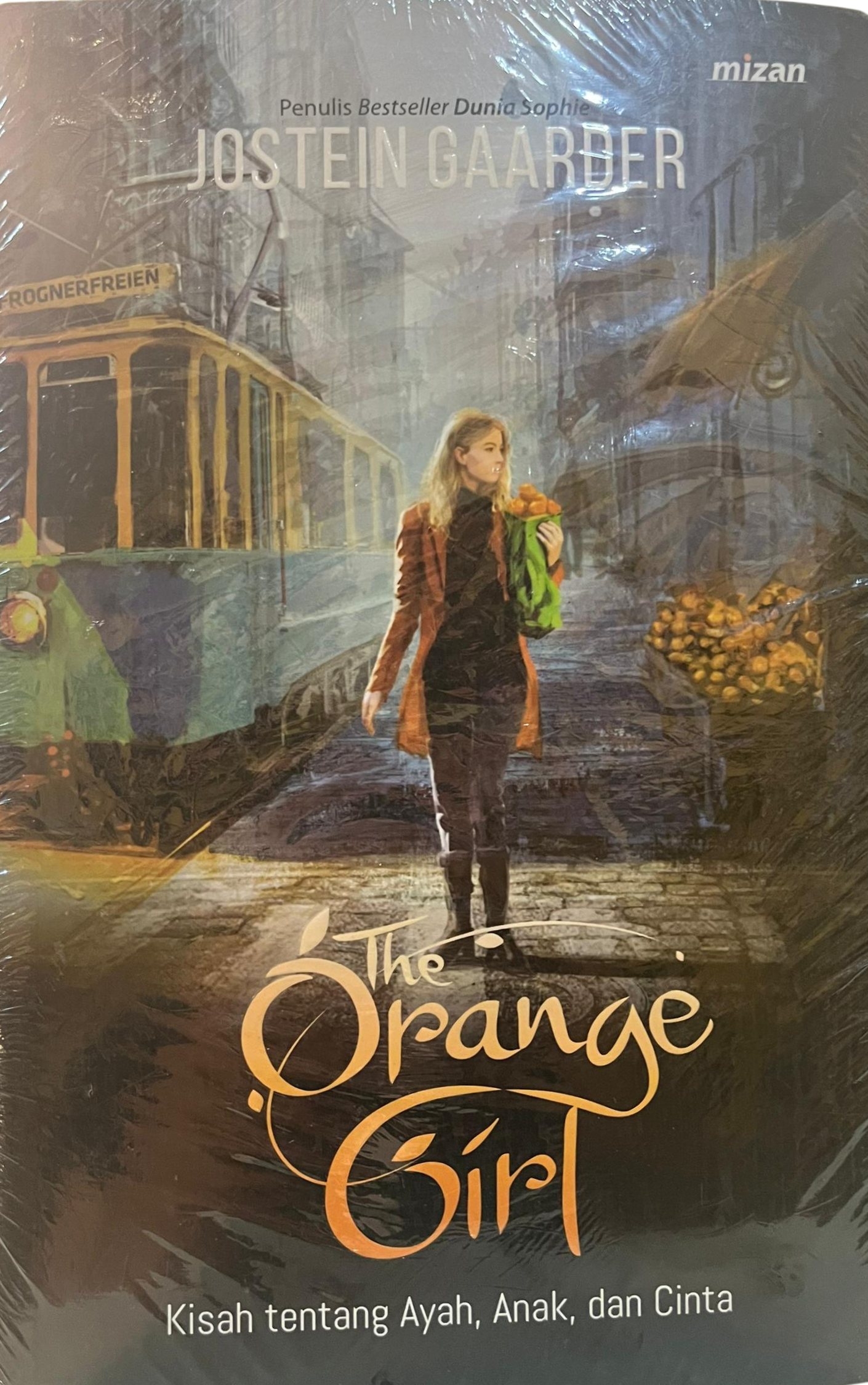 The orange Girl - Jostein Gaarder