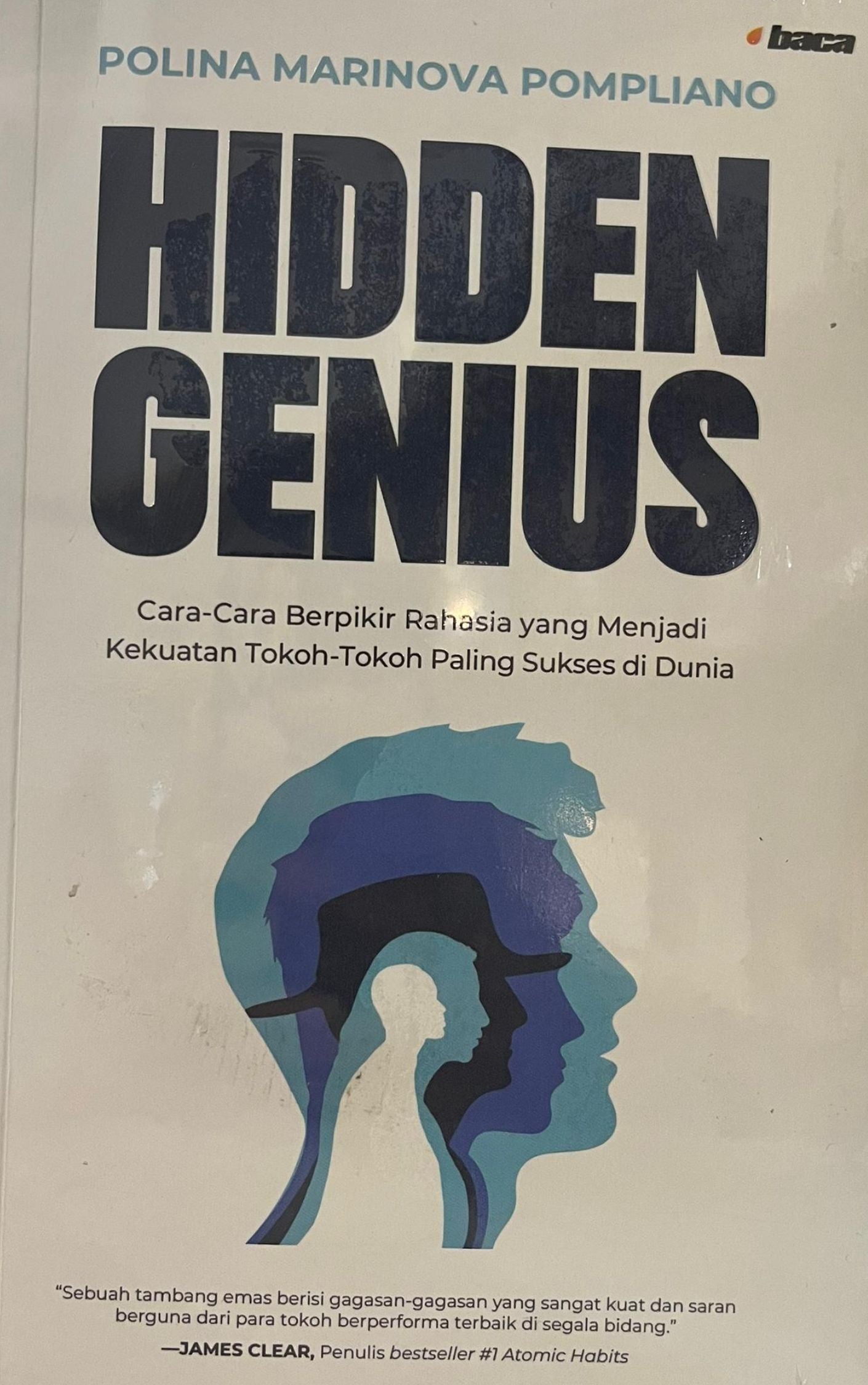 Hidden Genius - Polina Marinova Pompliano