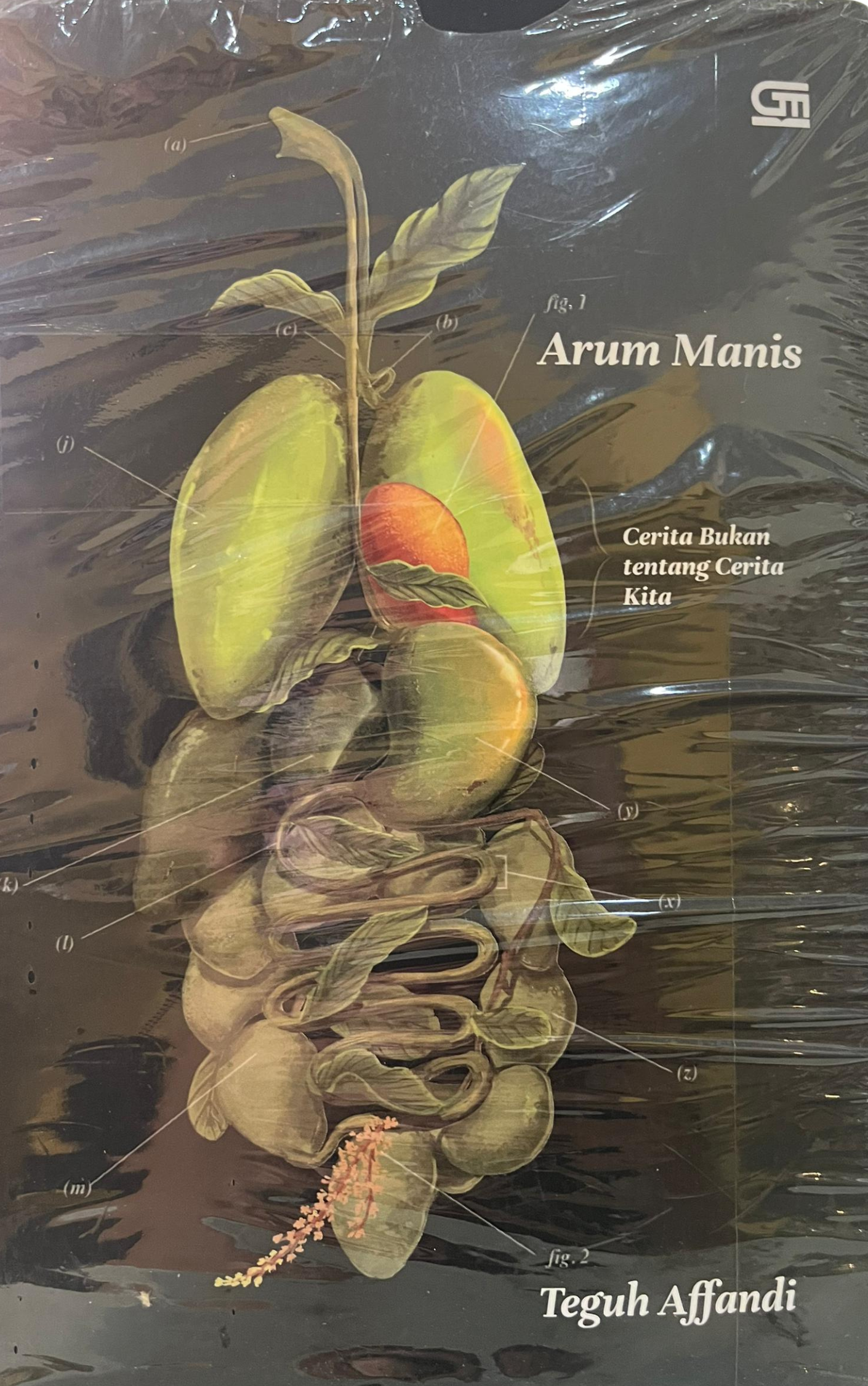 Arum Manis - Teguh Affandi