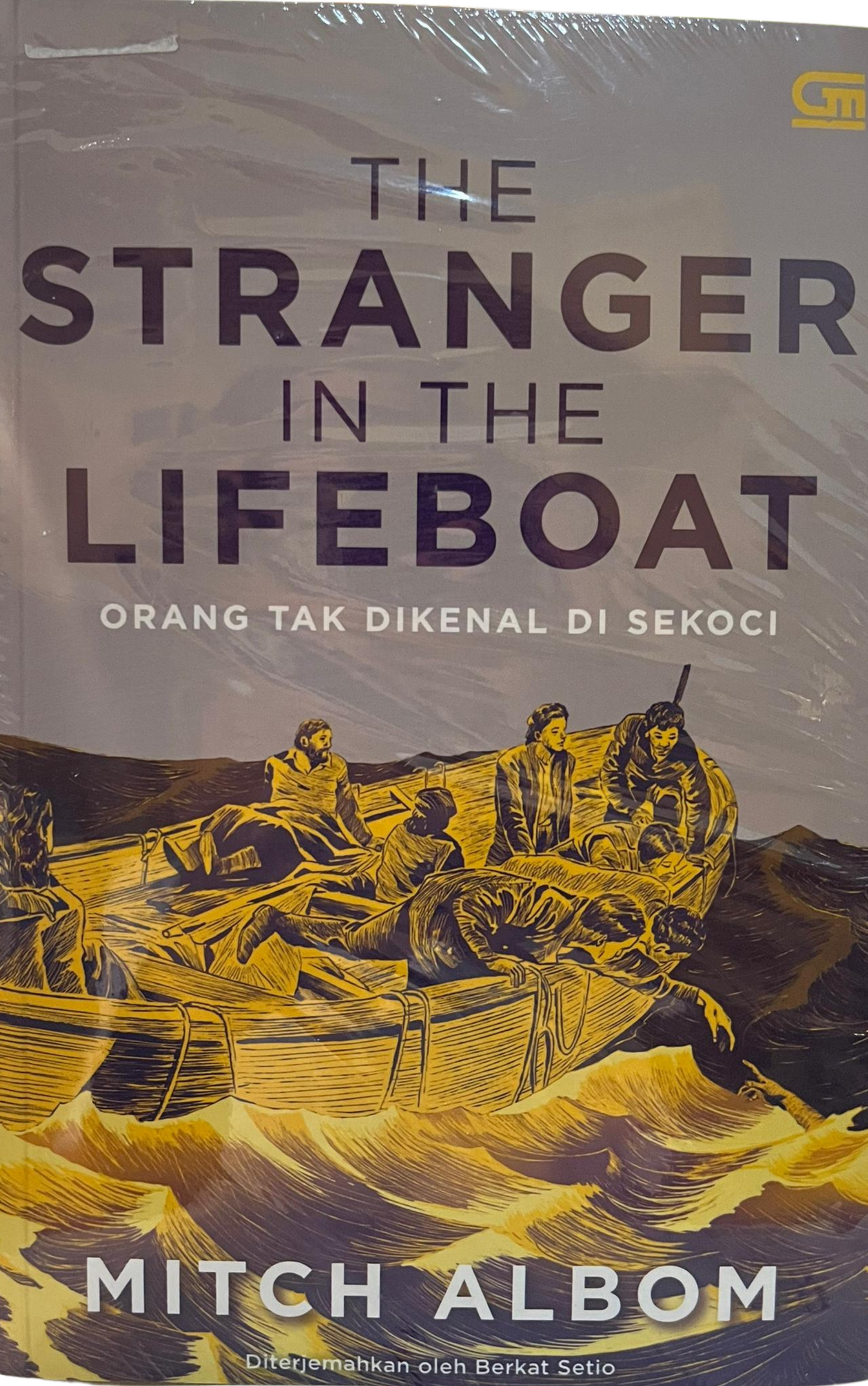 The stranger in the Lifeboat - Mitch Albom